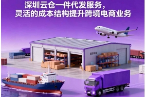深圳云倉一件代發(fā)服務(wù)，靈活的成本結(jié)構(gòu)提升跨境電商業(yè)務(wù)